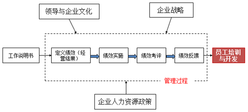 战略咨询行业的最新动态